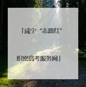咸宁“志愿红”织密高考服务网