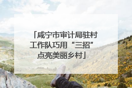 咸宁市审计局驻村工作队巧用“三招”点亮美丽乡村
