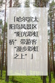 哈尔滨太阳岛风景区“阳光彩虹桥”带游客“漫步彩虹之上”