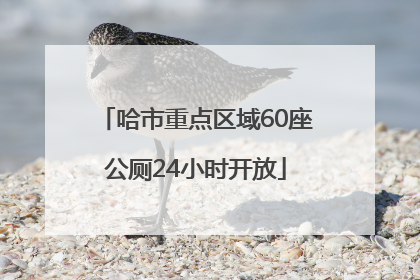 哈市重点区域60座公厕24小时开放