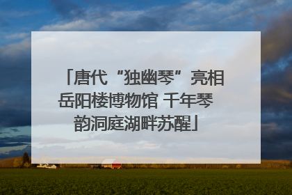唐代“独幽琴”亮相岳阳楼博物馆 千年琴韵洞庭湖畔苏醒