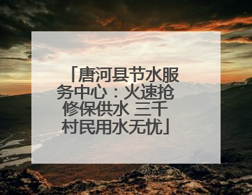 唐河县节水服务中心：火速抢修保供水 三千村民用水无忧