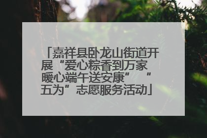 嘉祥县卧龙山街道开展“爱心粽香到万家 暖心端午送安康” “五为”志愿服务活动