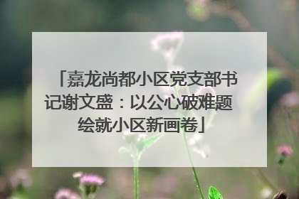 嘉龙尚都小区党支部书记谢文盛：以公心破难题 绘就小区新画卷
