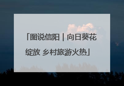 图说信阳｜向日葵花绽放 乡村旅游火热
