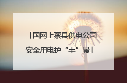 国网上蔡县供电公司安全用电护“丰”景