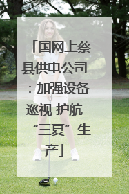 国网上蔡县供电公司：加强设备巡视 护航“三夏”生产