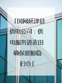国网延津县供电公司：供电服务进麦田 确保夏粮稳归仓