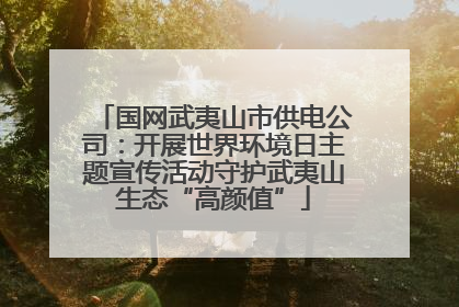 国网武夷山市供电公司：开展世界环境日主题宣传活动守护武夷山生态“高颜值”