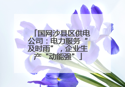 国网沙县区供电公司：电力服务“及时雨”，企业生产“动能强”