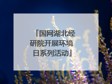 国网湖北经研院开展环境日系列活动