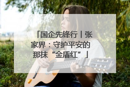 国企先锋行丨张家界：守护平安的那抹“金盾红”