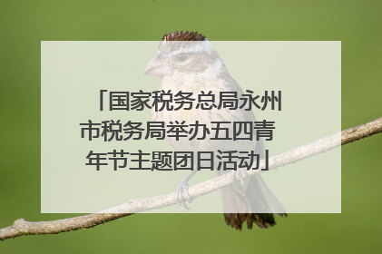 国家税务总局永州市税务局举办五四青年节主题团日活动