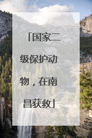 国家二级保护动物，在南昌获救