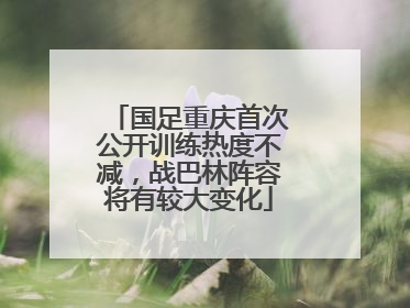 国足重庆首次公开训练热度不减，战巴林阵容将有较大变化