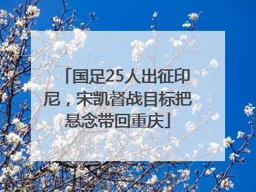 国足25人出征印尼，宋凯督战目标把悬念带回重庆