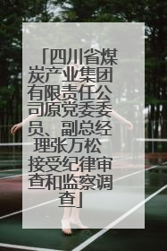 四川省煤炭产业集团有限责任公司原党委委员、副总经理张万松 接受纪律审查和监察调查