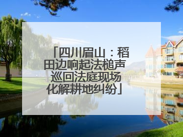四川眉山：稻田边响起法槌声 巡回法庭现场化解耕地纠纷