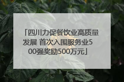 四川力促餐饮业高质量发展 首次入围服务业500强奖励500万元