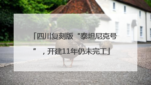 四川复刻版“泰坦尼克号”，开建11年仍未完工