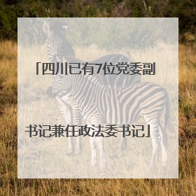 四川已有7位党委副书记兼任政法委书记