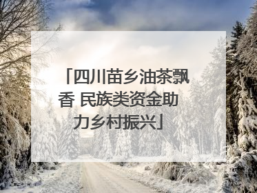 四川苗乡油茶飘香 民族类资金助力乡村振兴