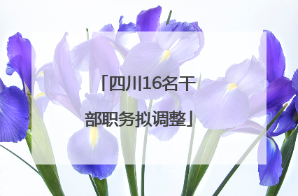 四川16名干部职务拟调整