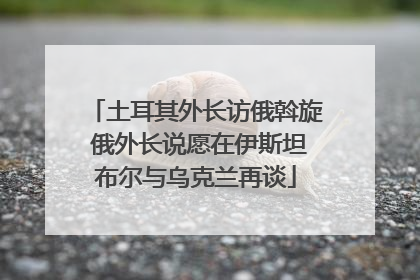 土耳其外长访俄斡旋 俄外长说愿在伊斯坦布尔与乌克兰再谈
