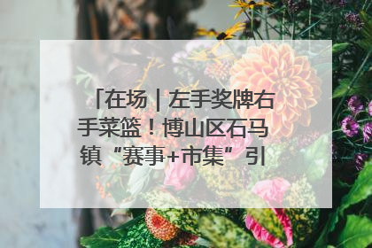 在场｜左手奖牌右手菜篮！博山区石马镇“赛事+市集”引燃周末经济