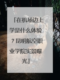 在机场边上学是什么体验？昆明航空职业学院实景曝光