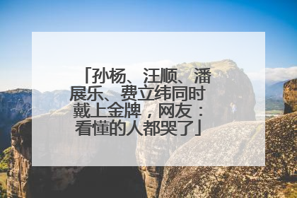 孙杨、汪顺、潘展乐、费立纬同时戴上金牌，网友：看懂的人都哭了