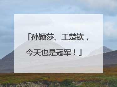 孙颖莎、王楚钦，今天也是冠军！
