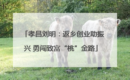 孝昌刘明：返乡创业助振兴 勇闯致富“桃”金路