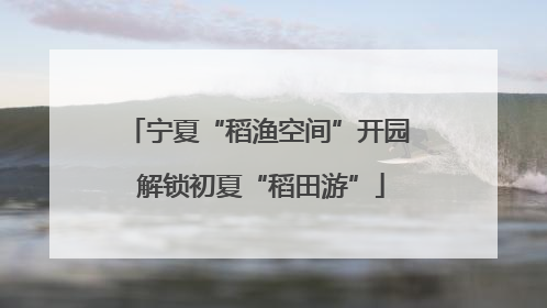宁夏“稻渔空间”开园 解锁初夏“稻田游”