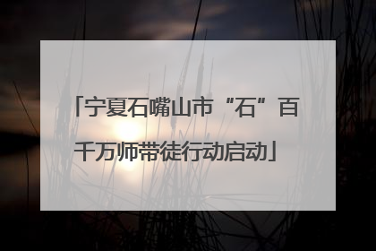 宁夏石嘴山市“石”百千万师带徒行动启动