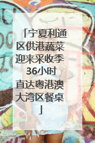 宁夏利通区供港蔬菜迎来采收季 36小时直达粤港澳大湾区餐桌