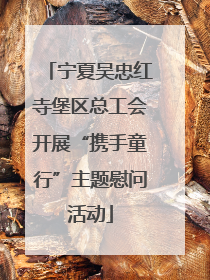 宁夏吴忠红寺堡区总工会开展“携手童行”主题慰问活动