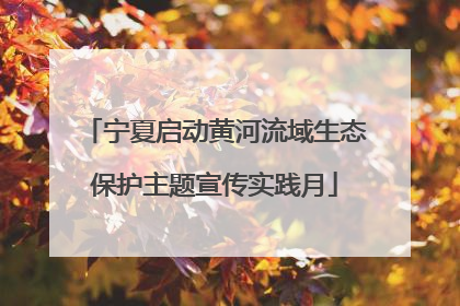 宁夏启动黄河流域生态保护主题宣传实践月