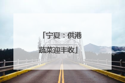 宁夏：供港蔬菜迎丰收