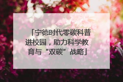 宁德时代零碳科普进校园，助力科学教育与“双碳”战略