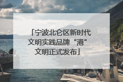 宁波北仑区新时代文明实践品牌“港”文明正式发布