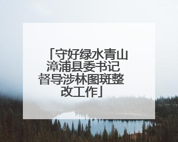守好绿水青山 漳浦县委书记督导涉林图斑整改工作