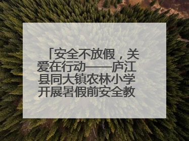 安全不放假，关爱在行动——庐江县同大镇农林小学开展暑假前安全教育大家访