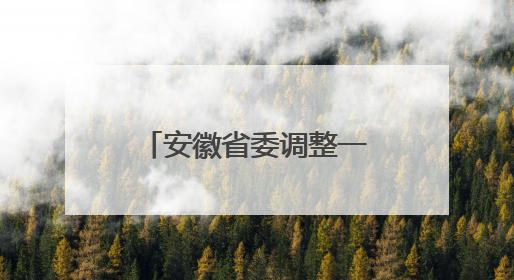 安徽省委调整一省属集团总经理