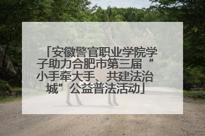 安徽警官职业学院学子助力合肥市第三届“小手牵大手、共建法治城”公益普法活动