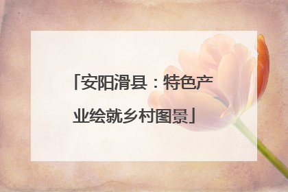 安阳滑县：特色产业绘就乡村图景