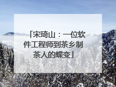 宋琦山：一位软件工程师到茶乡制茶人的蝶变