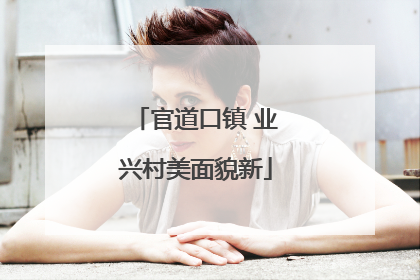 官道口镇 业兴村美面貌新