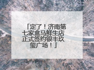 定了！济南第七家盒马鲜生店正式签约银丰玖玺广场！