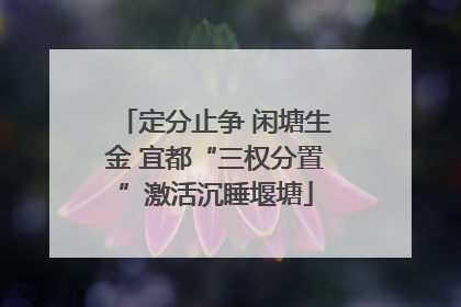 定分止争 闲塘生金 宜都“三权分置”激活沉睡堰塘